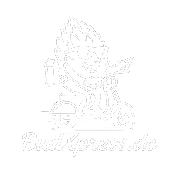 budxpress.de